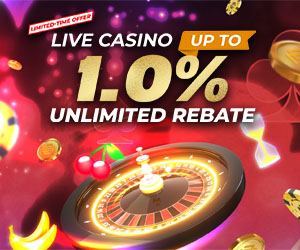 Casino 1.0% Unlimited Daily Rebate